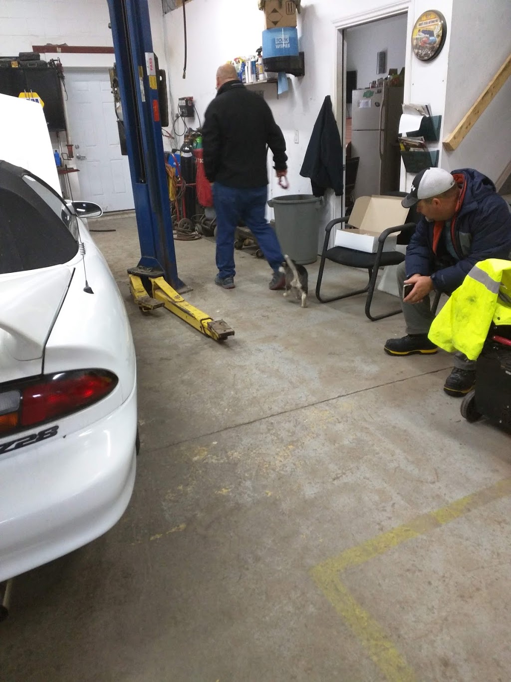 Daves Total Automotive | 6888 Oakwood Dr, Niagara Falls, ON L2G 0H9, Canada | Phone: (905) 356-3560