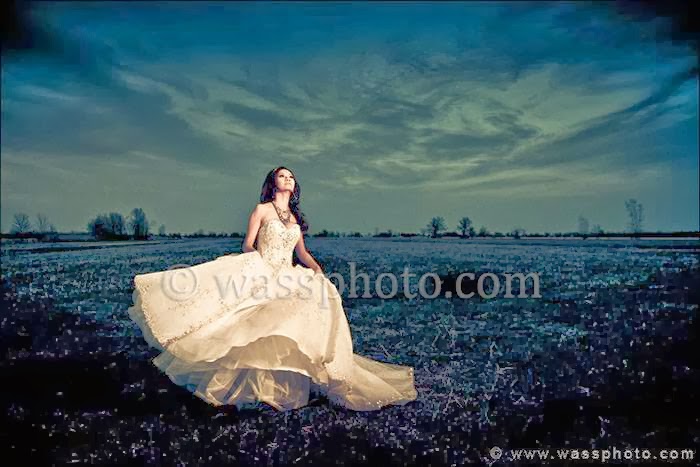 Njeim Photography: Montreal Wedding photographer | 8265 Bd Viau, Saint-Léonard, QC H1R 2T5, Canada | Phone: (514) 574-0690