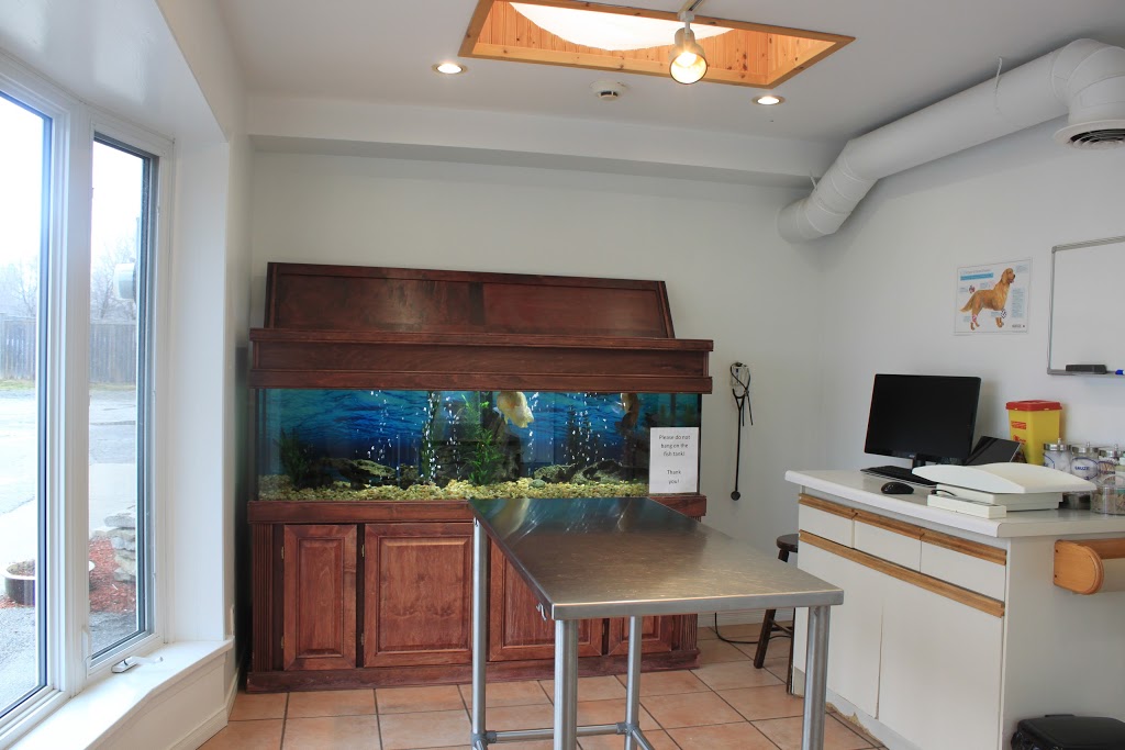 Bucksburn Veterinary Hospital | 2078 Upper Middle Rd E, Oakville, ON L6H 7G5, Canada | Phone: (905) 257-7777