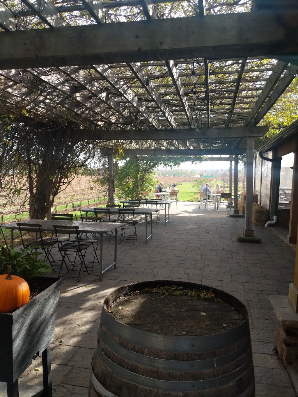 The Good Earth Cooking School & Food Company Inc. | 4556 Lincoln Ave, Beamsville, ON L0R 1B3, Canada | Phone: (905) 563-7856