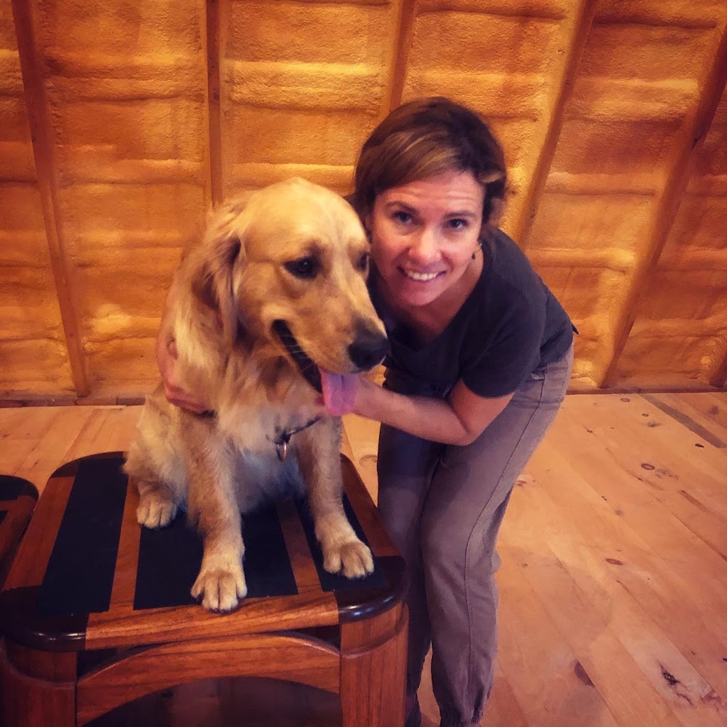 Dogawalk Training | 106 Constance Creek Dr, Dunrobin, ON K0A 1T0, Canada | Phone: (613) 416-8676