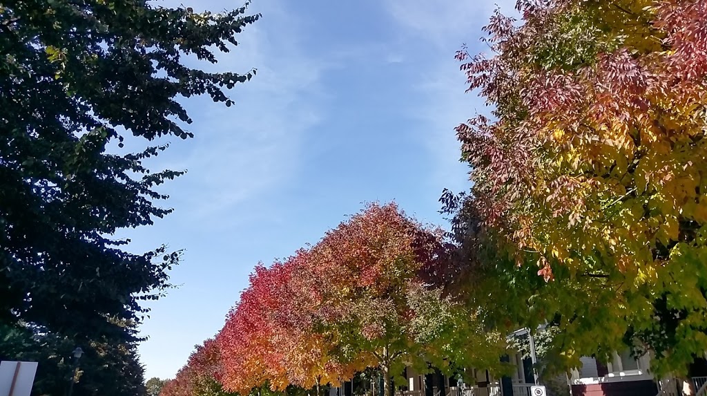 Great West Cannery Park | Steveston, Richmond, BC V7E 3R7, Canada