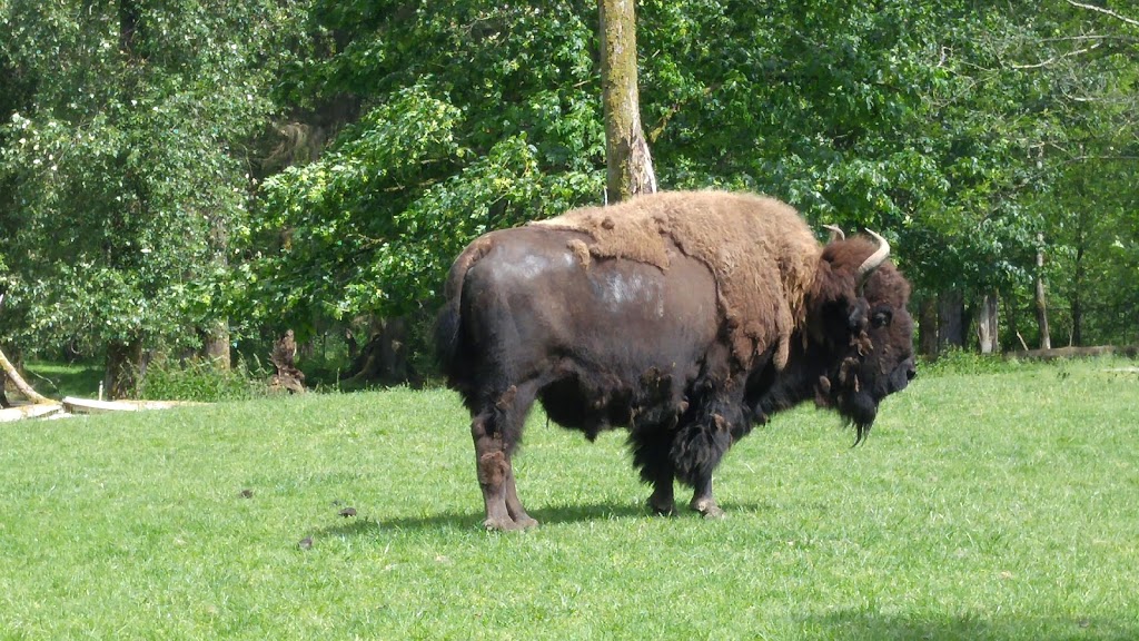 Greater Vancouver Zoo | 5048 264 St, Aldergrove, BC V4W 1N7, Canada | Phone: (604) 856-6825
