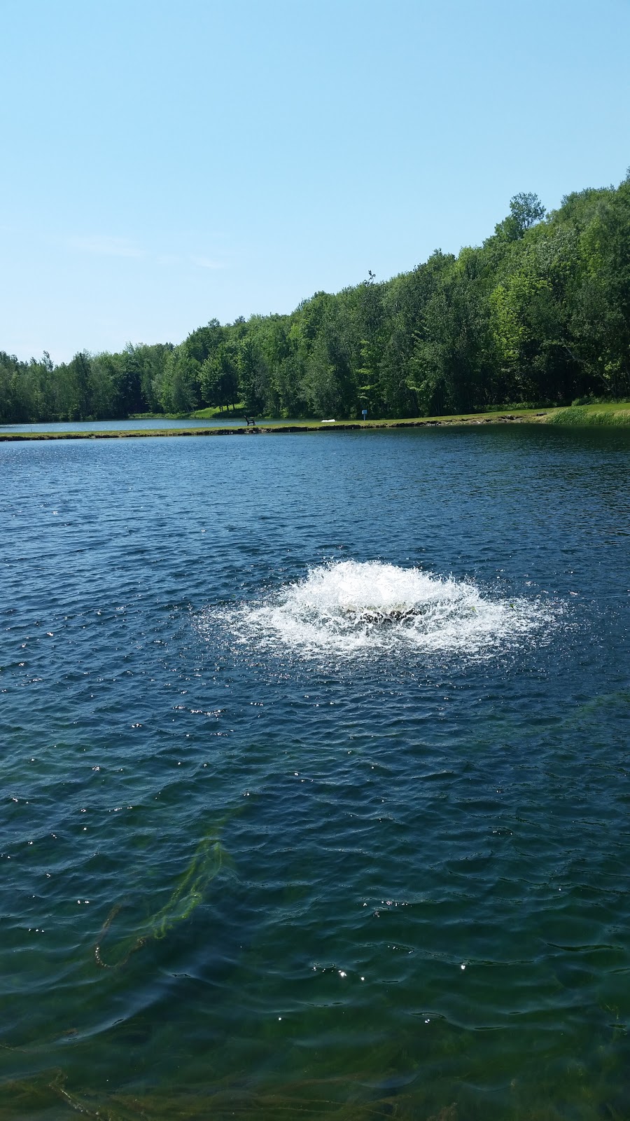 Pisciculture Saint-Denis | 595 Rue Croteau, Saint-Denis-de-Brompton, QC J0B 2P0, Canada | Phone: (819) 846-4060