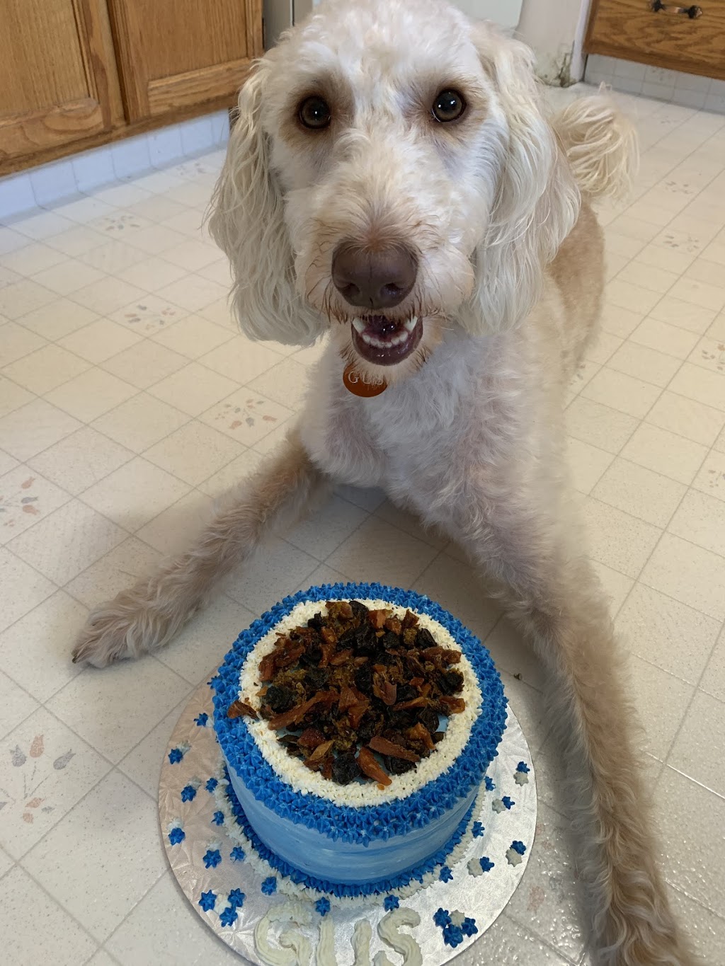 Grams Real Meat Dog Treats | 381 Wood Lily Dr, Moose Jaw, SK S6J 0A2, Canada | Phone: (306) 690-3085