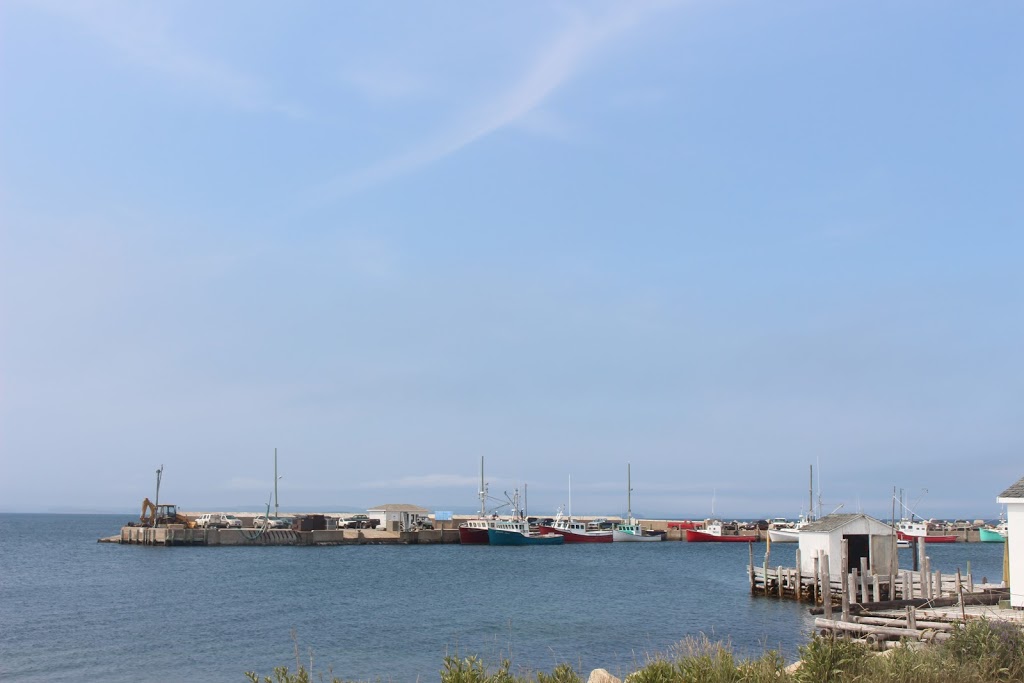 Carolyns Restaurant & Craft | 656 Big Tancook Island Rd, Tancook Island, NS B0J 3G0, Canada | Phone: (902) 228-2749