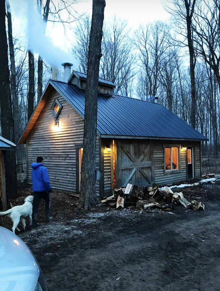Wiebe Maple Products | 2955 Perth Rd 163, Fullarton, ON N0K 1H0, Canada | Phone: (519) 229-6570