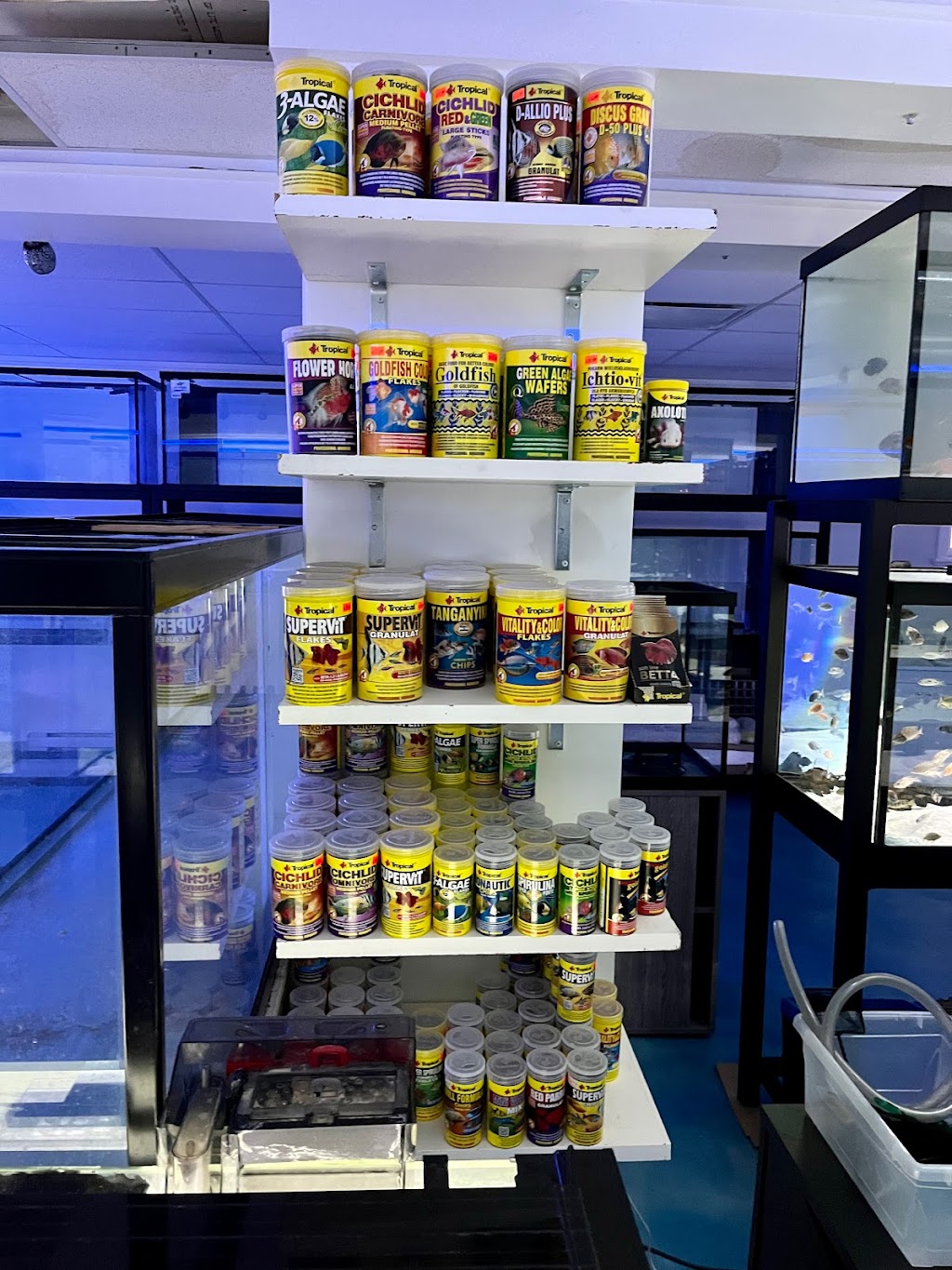 Poseidon Specialised Pet Store | 787 Boul. Louis-XIV, Québec, QC G1H 1A3, Canada | Phone: (418) 623-0821