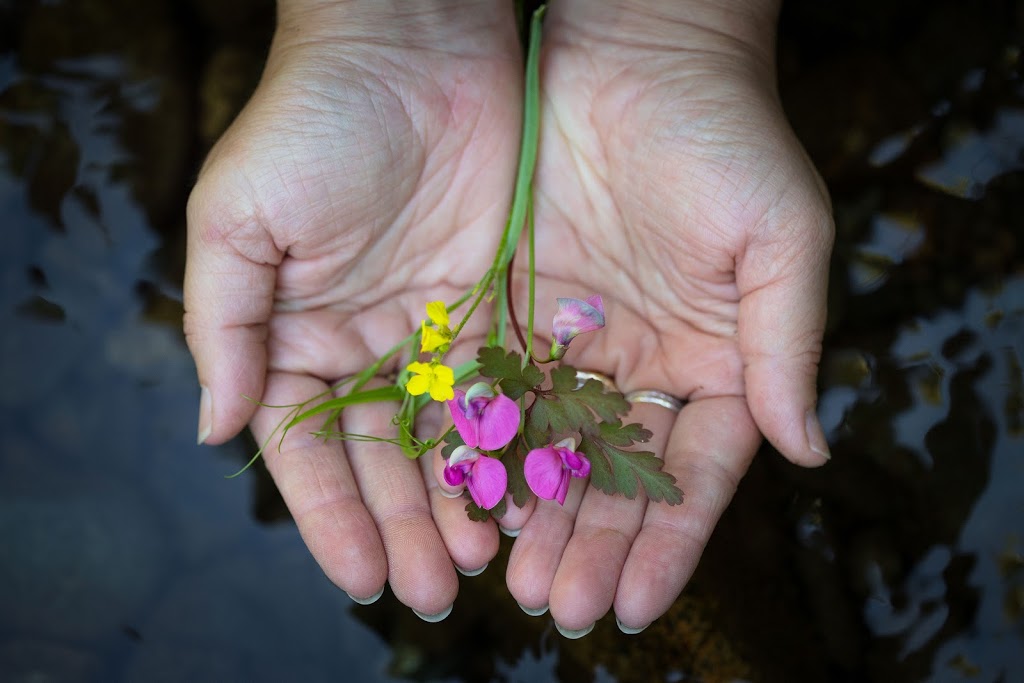 Rosewater Reproductive Wellness | 1011 Holmes St, Duncan, BC V9L 2C9, Canada | Phone: (250) 618-0664