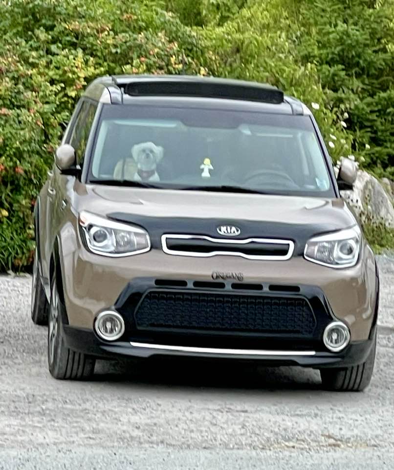ORegans Green Light Used Car Centre South Shore | 169 North St, Bridgewater, NS B4V 2V7, Canada | Phone: (902) 530-1020