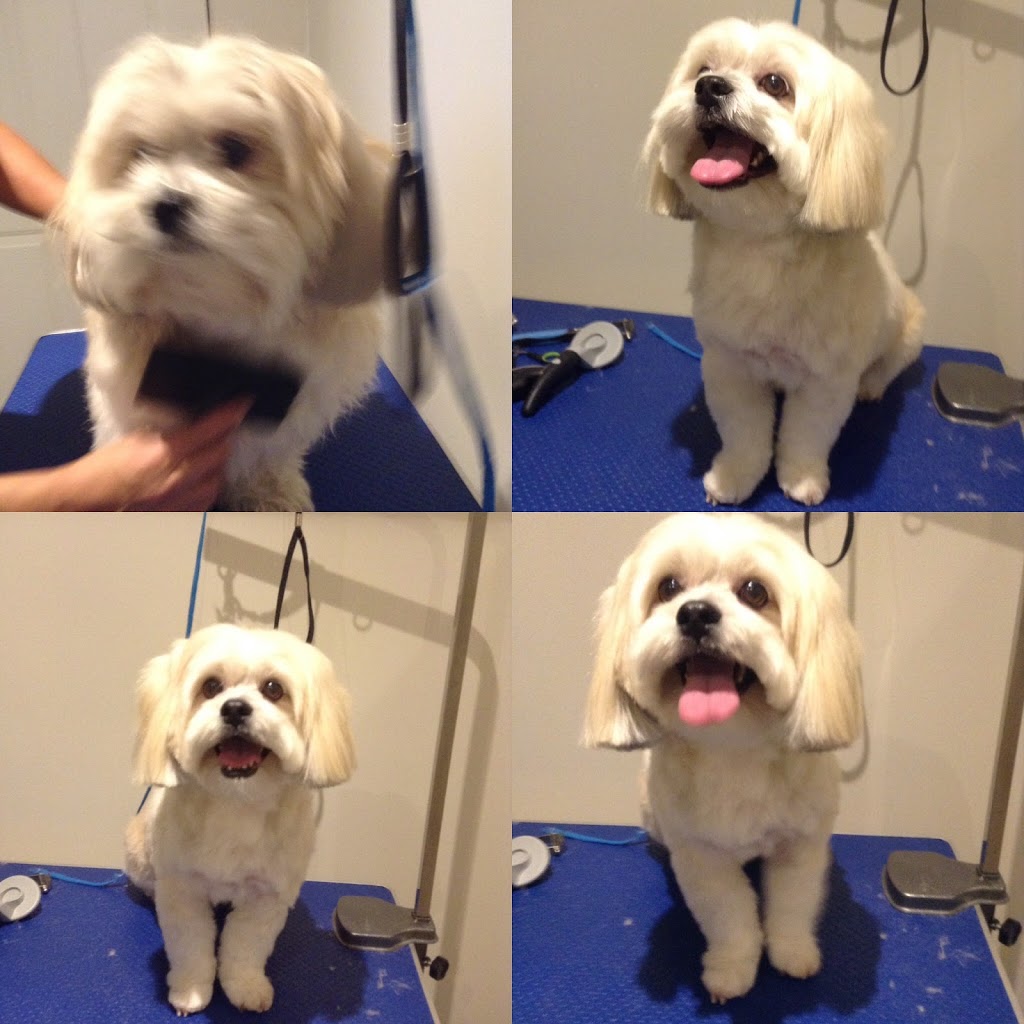 Mobile Pet SPaw | 47 Coastline Dr, Brampton, ON L6Y 0T6, Canada | Phone: (647) 708-7897