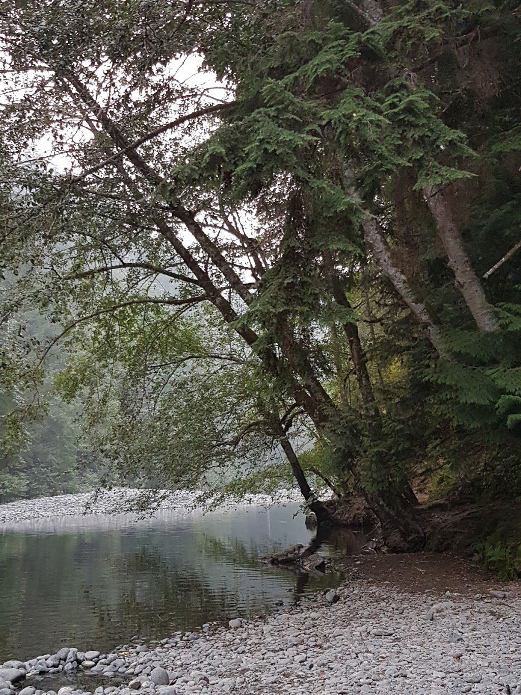 Chemainus River Campground | 8682 Trans-Canada Hwy, Chemainus, BC V0R 1K4, Canada | Phone: (250) 246-9357