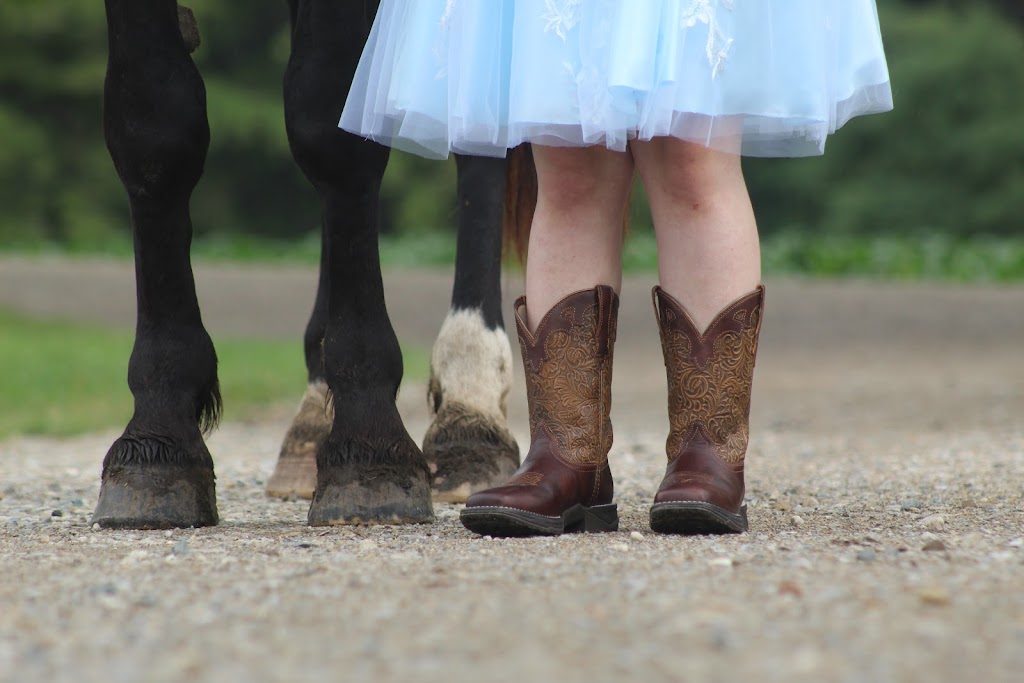 ABC Equestrian | 524239 Curry Rd, Ingersoll, ON N5C 3J8, Canada | Phone: (519) 709-1439