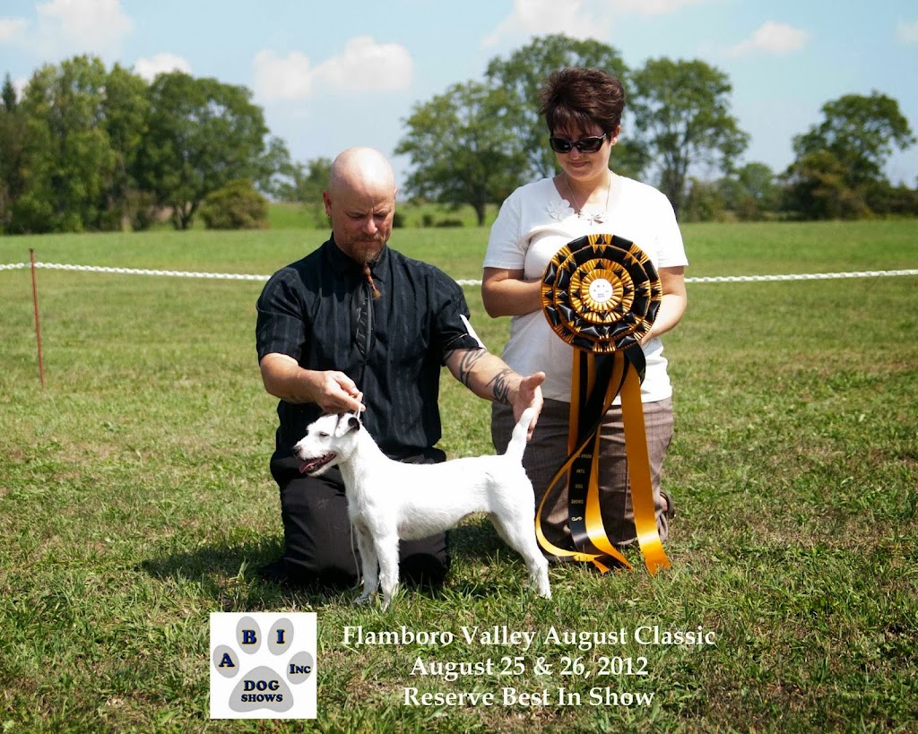 Locksley Farm and Kennel | 3181 Sydenham Rd, Elginburg, ON K0H 1M0, Canada | Phone: (613) 546-1352