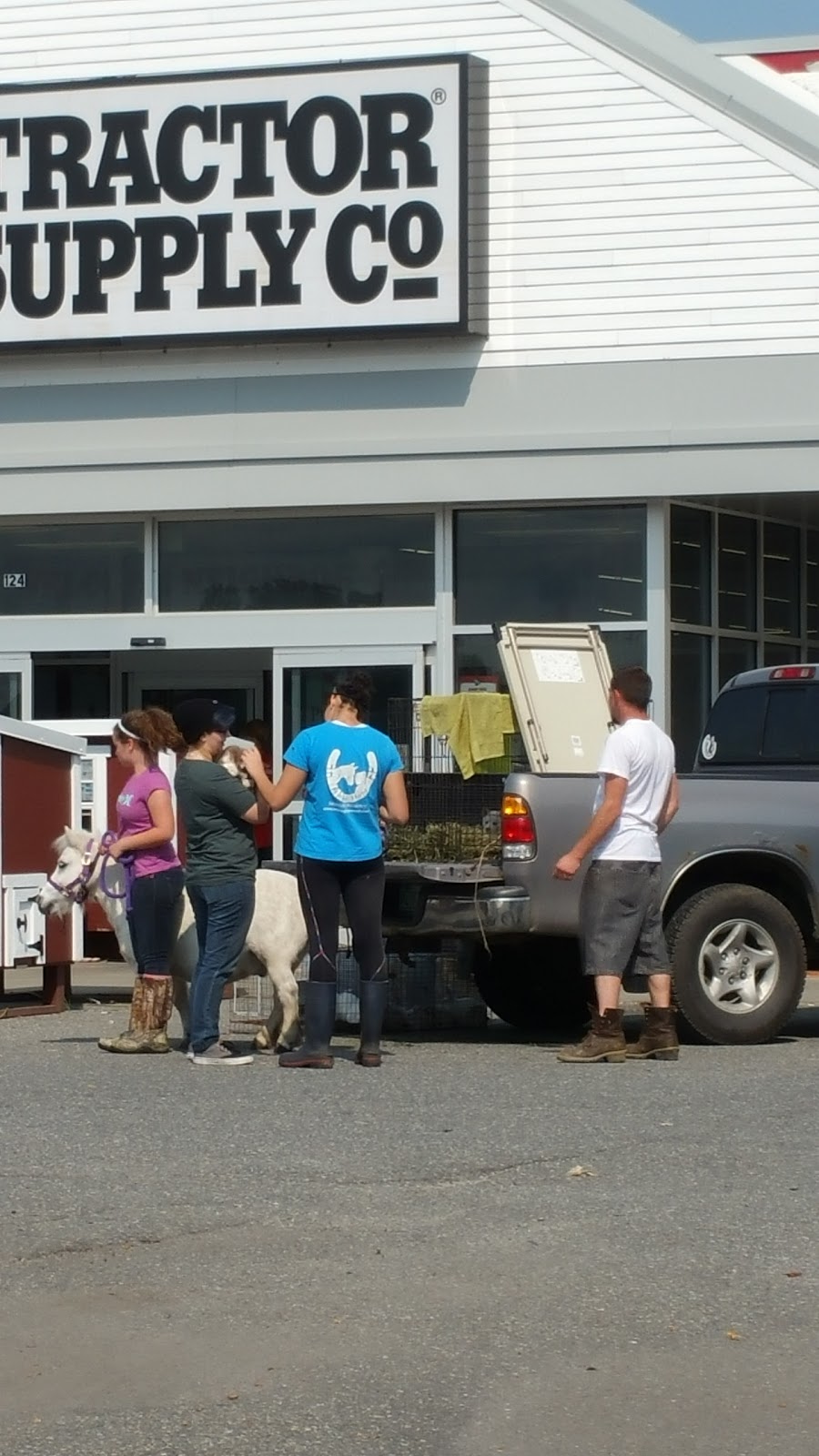 Tractor Supply Co. | 124 Commerce Way, Newport, VT 05855, USA | Phone: (802) 334-2944