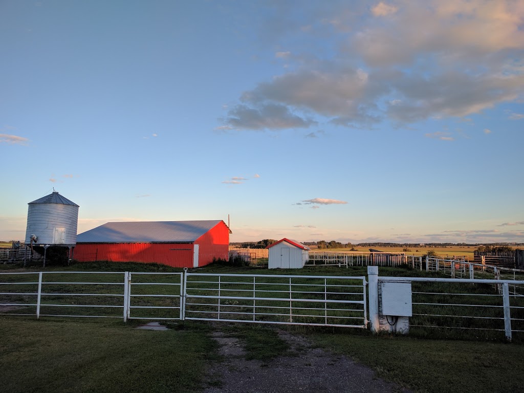Cool Spring Farm | 1047, Township Rd 342, Bowden, AB T0M 0K0, Canada | Phone: (403) 224-3298
