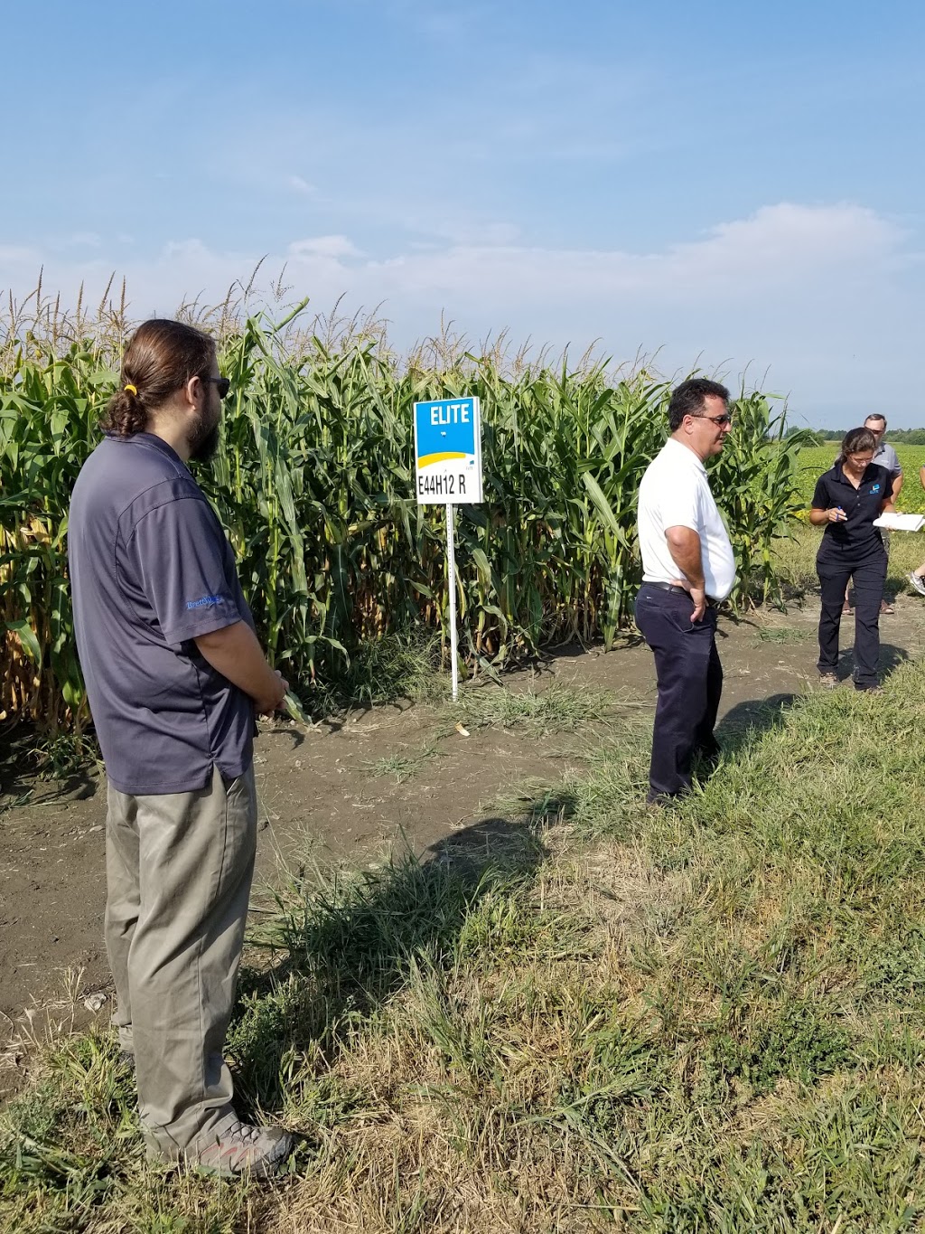 Ferme Recherche Et Développement Coop | 19235 Avenue Saint-Louis, Saint-Hyacinthe, QC J2T 5J4, Canada | Phone: (450) 799-2326