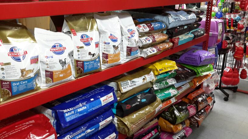 Animalerie Chez Yougo | 398 Rue LAnnonciation N, Rivière-Rouge, QC J0T 1T0, Canada | Phone: (819) 275-3099