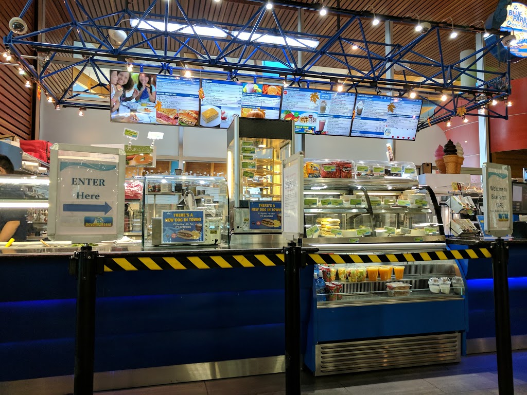 Blue Parrot Coffee | Hillcrest Centre, 4575 Clancy Loranger Way, Vancouver, BC V5Y 2M4, Canada | Phone: (604) 879-3301