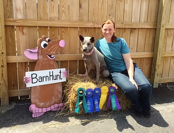 Mr Spot Dog Camp | 23 Country Club Dr, Kingston, ON K7M 9A4, Canada | Phone: (613) 530-7768