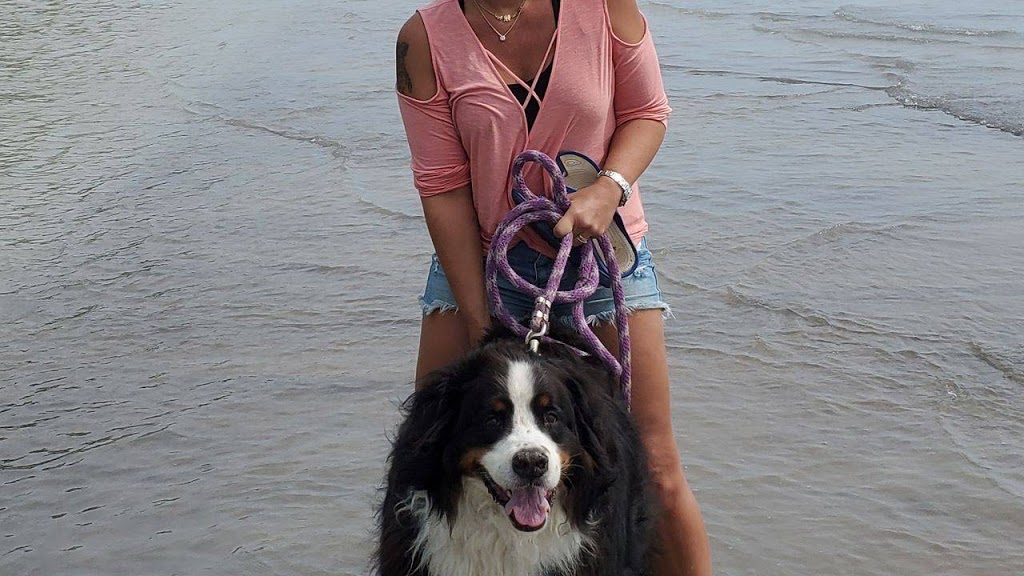 Wagzone Dog Walking & Pet Visits | 58 Graydon Dr, Mount Elgin, ON N0J 1N0, Canada | Phone: (519) 820-5359