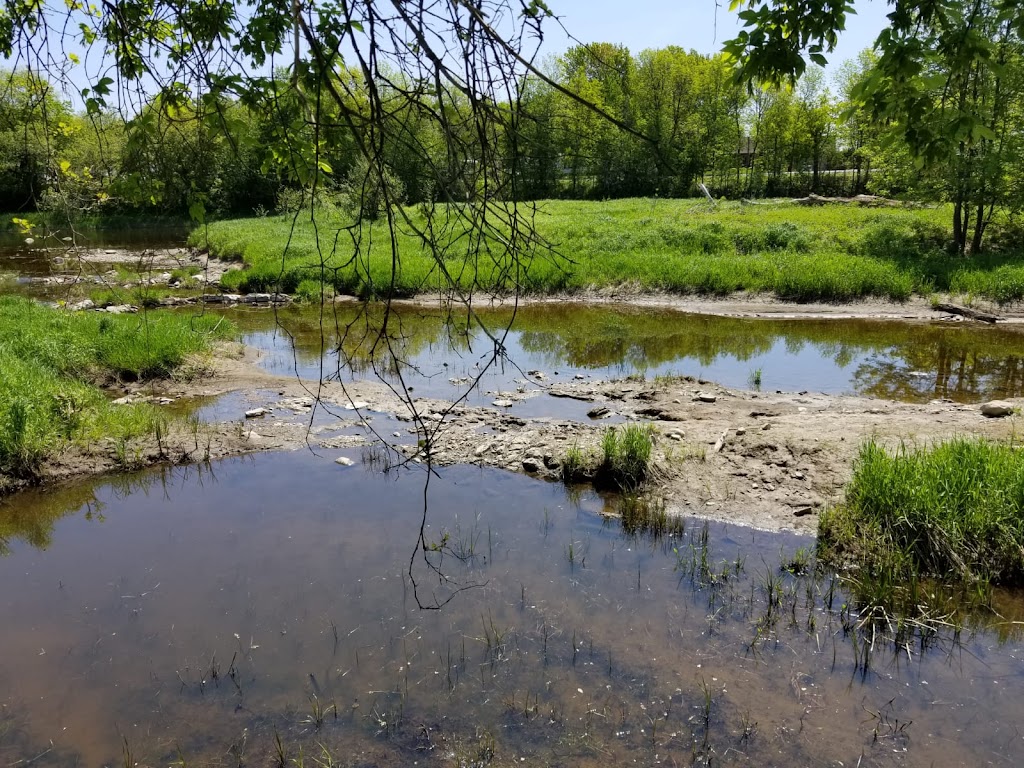 Organisme Bassin Versant Baie Missisquoi | 110 Rue de la Rivière, Bedford, QC J0J 1A0, Canada | Phone: (450) 248-0100