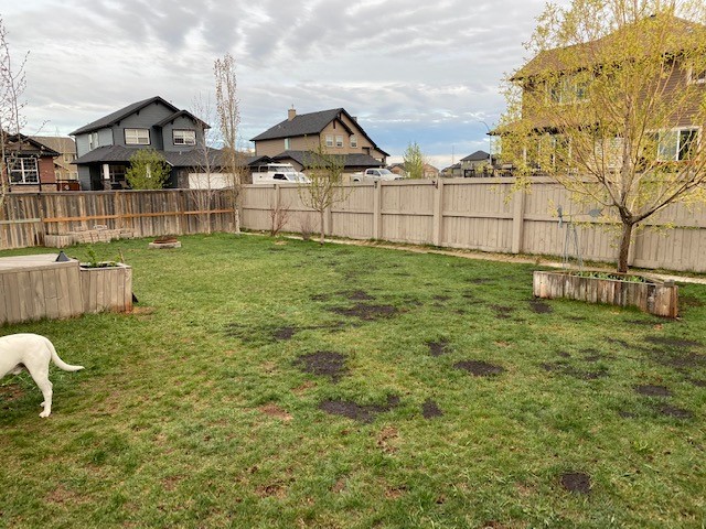 Green Drop Lawns Ltd | 1230 Meridian Rd NE, Calgary, AB T2A 2N9, Canada | Phone: (877) 647-3366