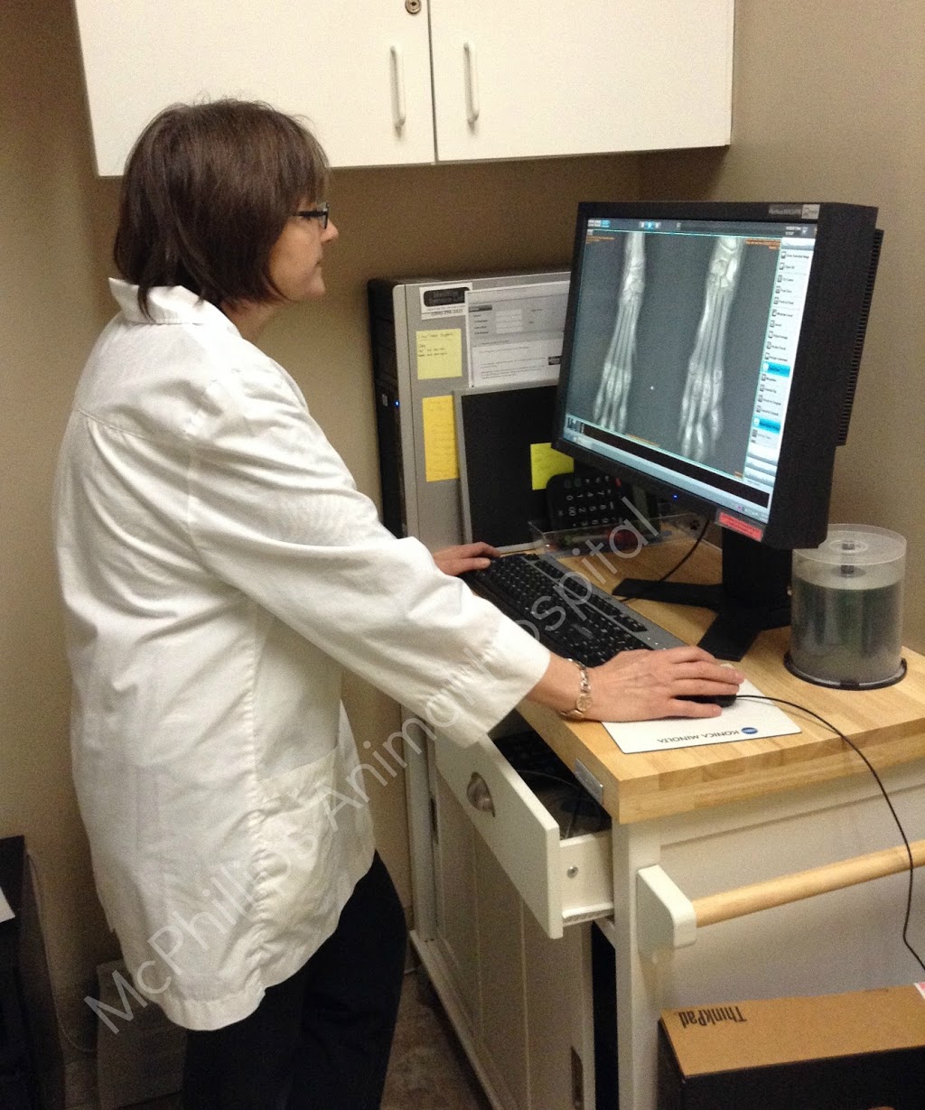 McPhillips Animal Hospital | 2211-B McPhillips St, Winnipeg, MB R2V 3M5, Canada | Phone: (204) 589-8381