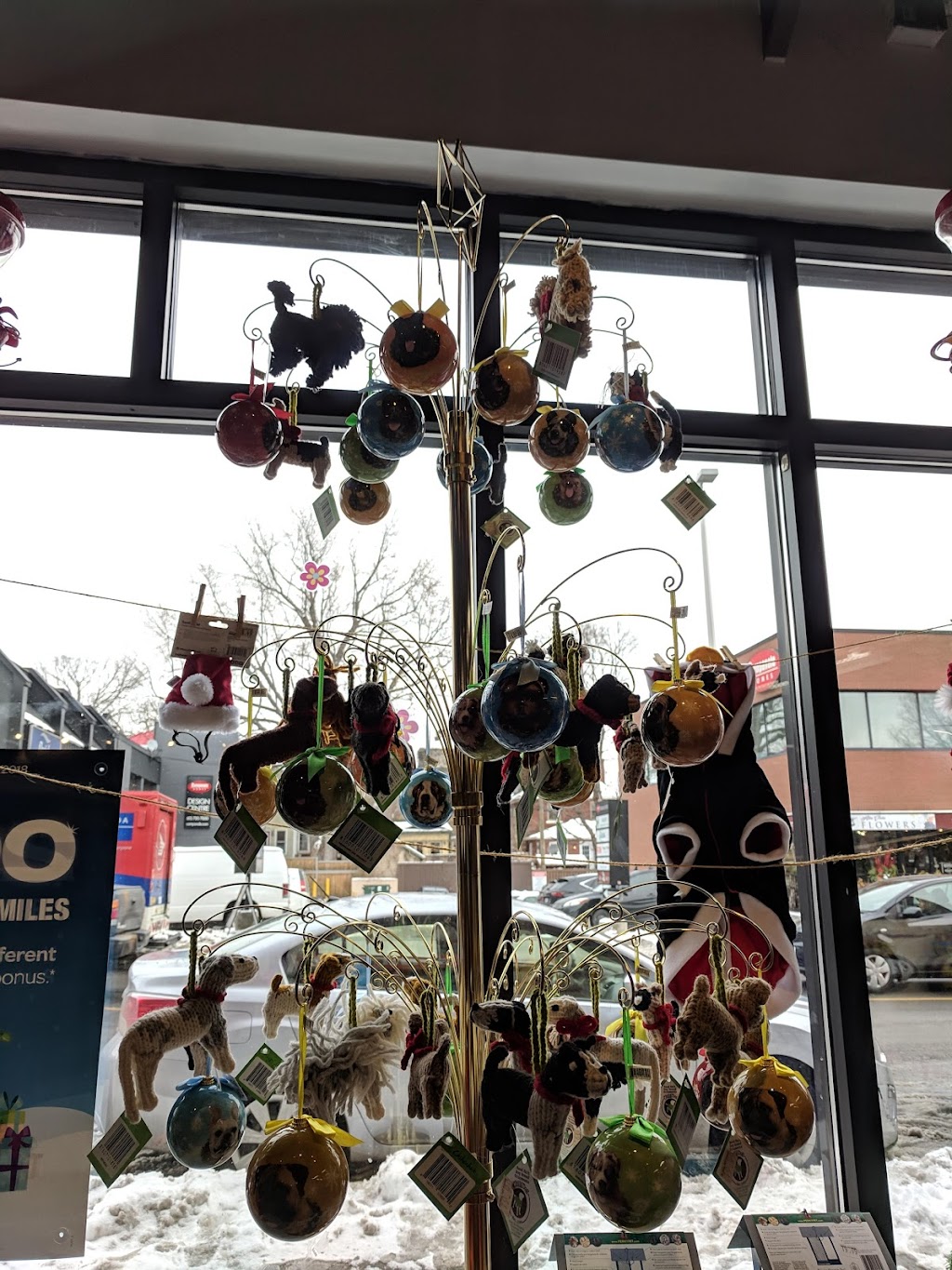 Global Pet Foods Bank St | 1176 Bank St, Ottawa, ON K1S 3X9, Canada | Phone: (613) 422-6741