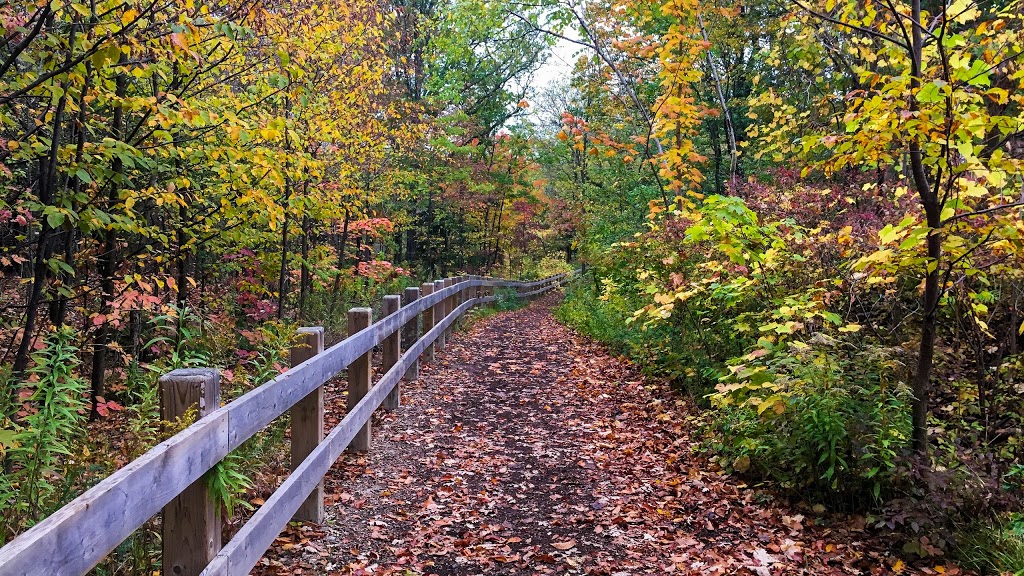Twelve Mile Trail | 5575 Twelve Mile Trail, Burlington, ON L0P, Canada | Phone: (416) 589-7754