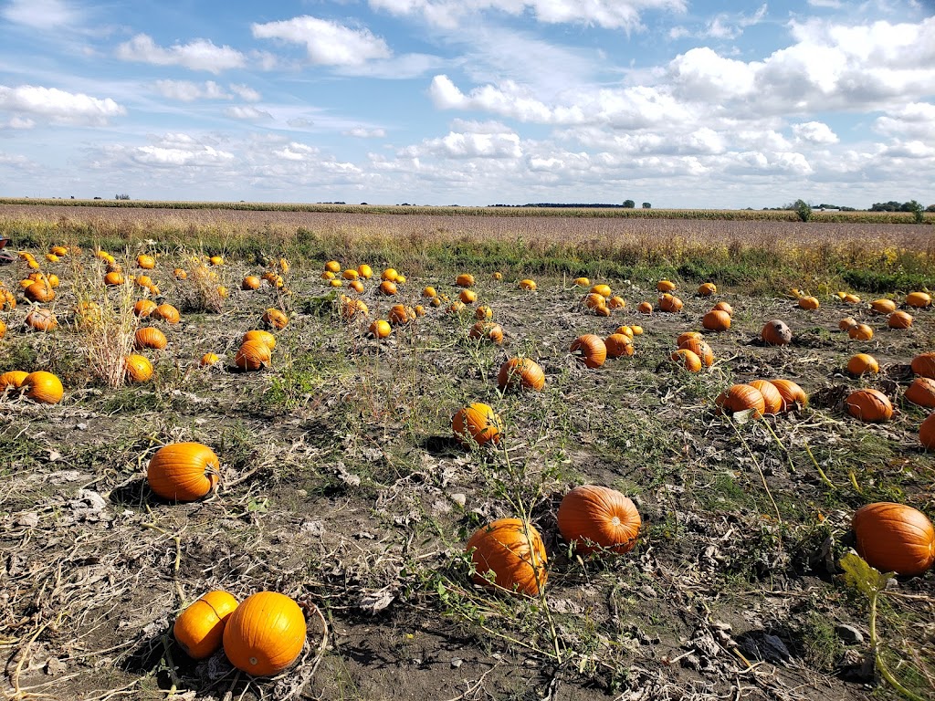 Farm La Fille du Roy | 1920 Rang St.-Simon, Sainte-Madeleine, QC J0H 1S0, Canada | Phone: (450) 795-3579