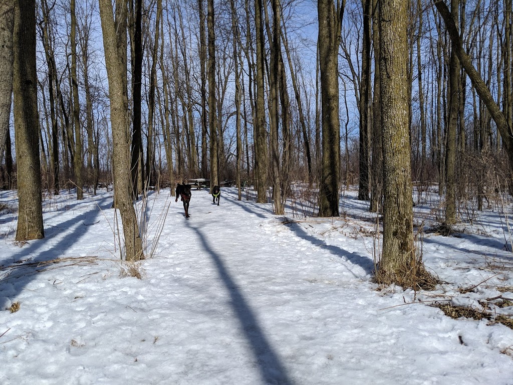 Stratford Dog Park | 159 Packham Rd, Stratford, ON N5A 6S4, Canada