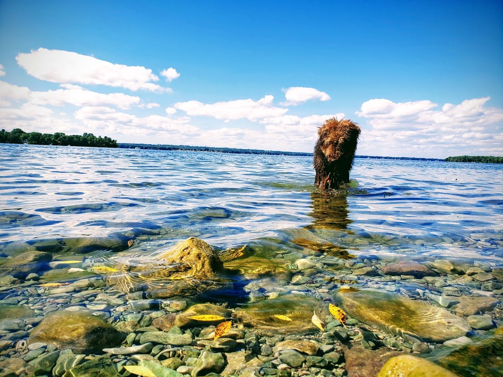 Victoria Park | Mnjikaning First Nation Indian Reserve No. 32, Ramara, ON L3V 6H6, Canada