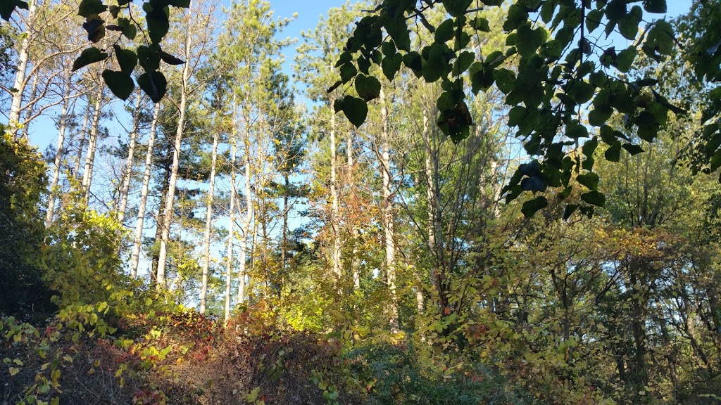 Raybeck Park | 45 Crandall Dr, Markham, ON L3P 6L4, Canada
