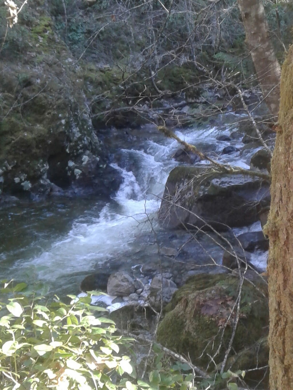 Holland Creek Trail Head | 374 Dogwood Dr, Ladysmith, BC V9G 1T5, Canada