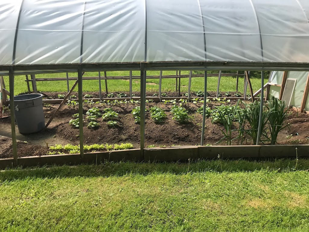 Go2Landscaping and Painting | 331 Barr Settlement Rd, East Gore, NS B2S 3B6, Canada | Phone: (902) 471-0627