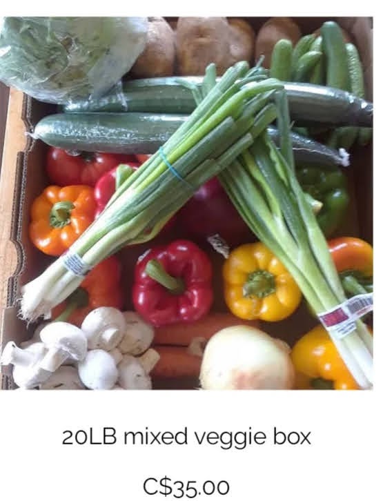 Country Sunrise Produce | 7725 Haggerty Rd, Bothwell, ON N0P 1C0, Canada | Phone: (226) 349-9355