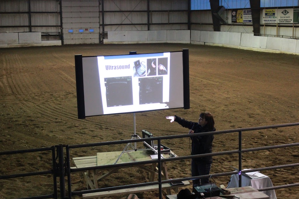Burwash Equine Services | 252140, Range Rd 42, Calgary, AB T3Z 2J8, Canada | Phone: (403) 242-1913