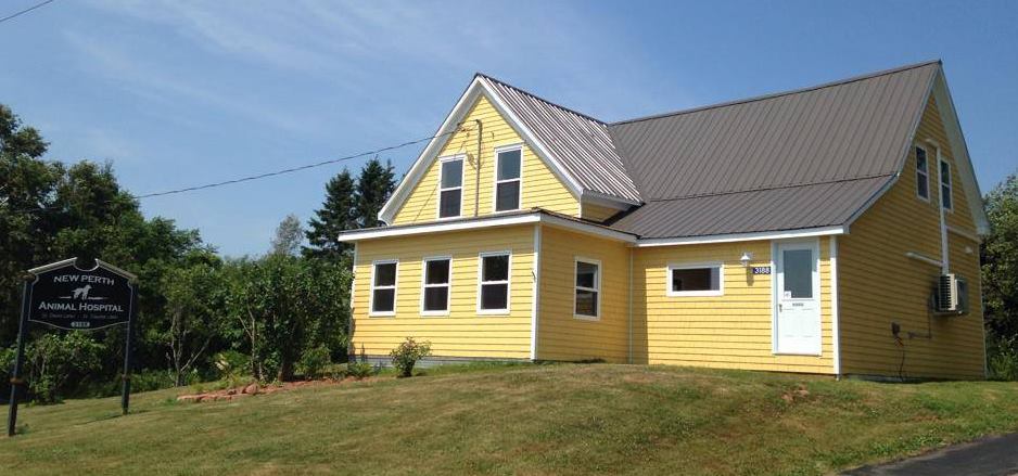 New Perth Animal Hospital | 3188 Georgetown Rd Rte. #3, New Perth, PE C0A 1G0, Canada | Phone: (902) 838-1800