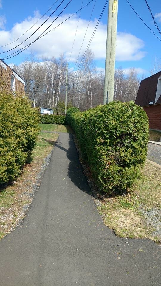 Émondage Abattage DD | 110 Rue Daigle, Cowansville, QC J2K 3E4, Canada | Phone: (450) 522-1977