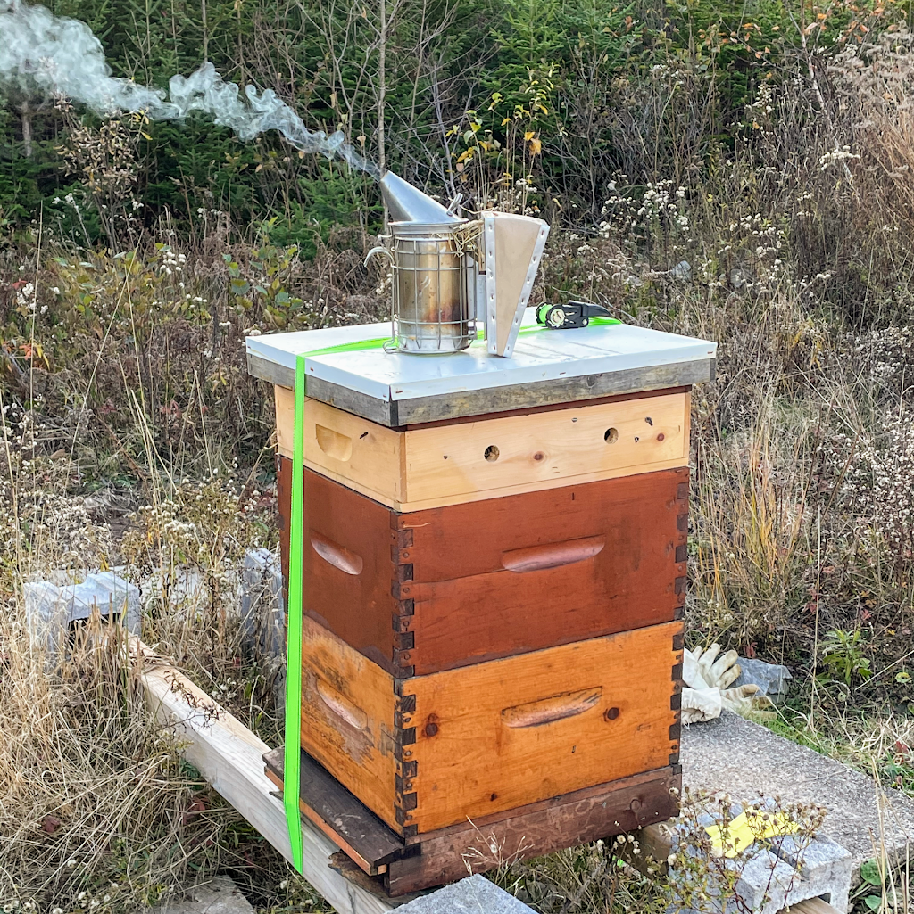 Ames Wildflower Honey | 345 Marketway Ln, Timberlea, NS B3T 0K9, Canada | Phone: (902) 809-8204