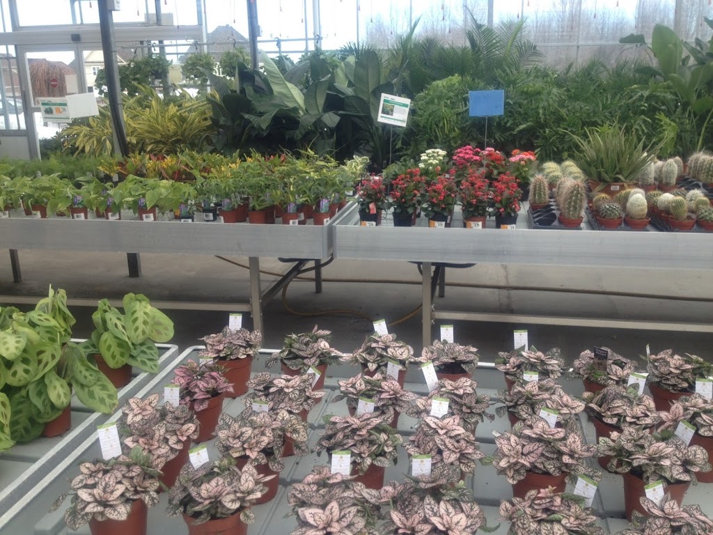 Pépinière Lapointe Inc. | 970 Av Châteaubriant, Mascouche, QC J7K 3N7, Canada | Phone: (450) 474-1680
