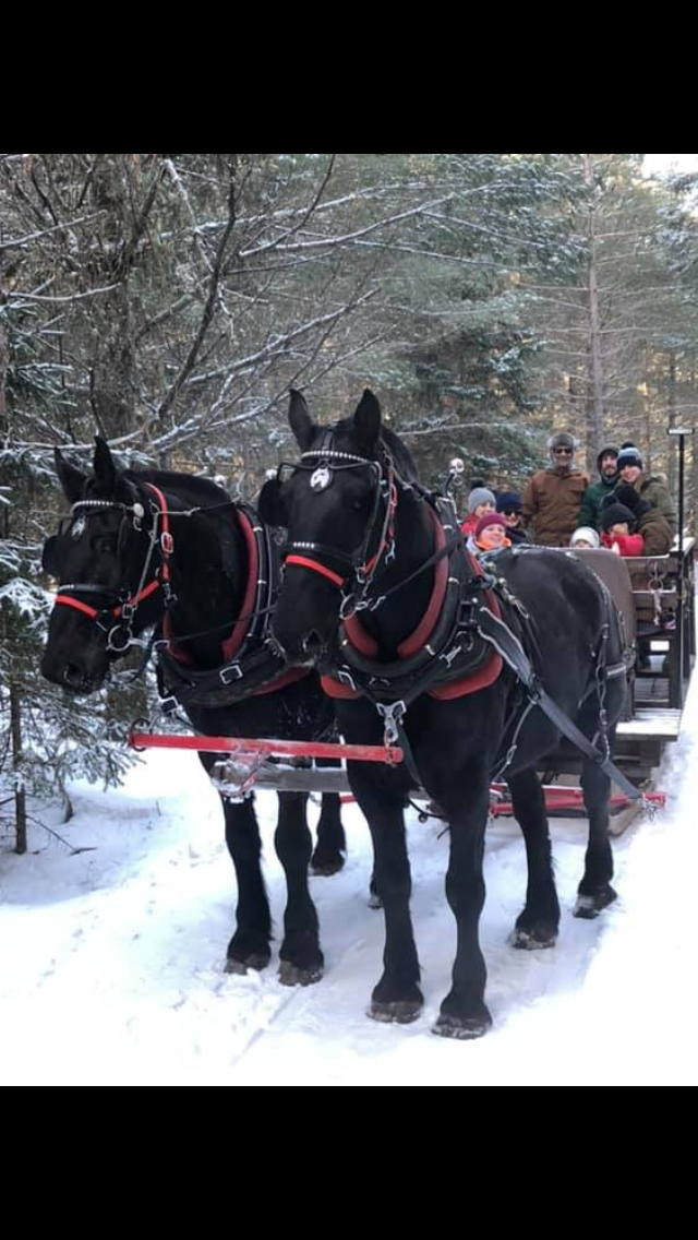 Armstrongs Thunder Ridge Farm | 737 Fourth Ave, Sprucedale, ON P0A 1Y0, Canada | Phone: (705) 685-1401