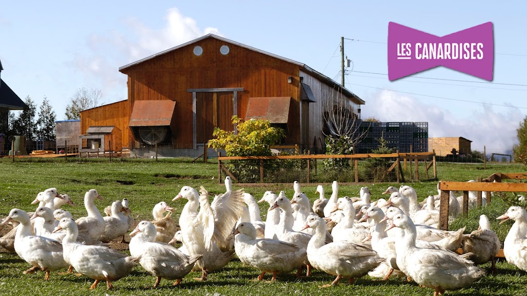Les Canardises (Ferme) | 5170 Av. Royale, Saint-Ferréol-les-Neiges, QC G0A 3R0, Canada | Phone: (418) 826-2112