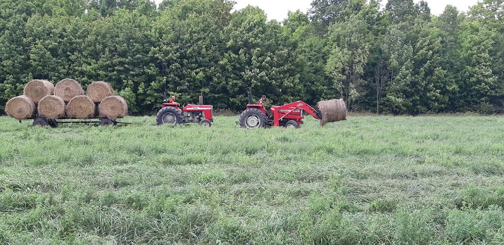 Rayner Ranch | 668 County Rd 27, Castleton, ON K0K 1M0, Canada | Phone: (705) 977-2322