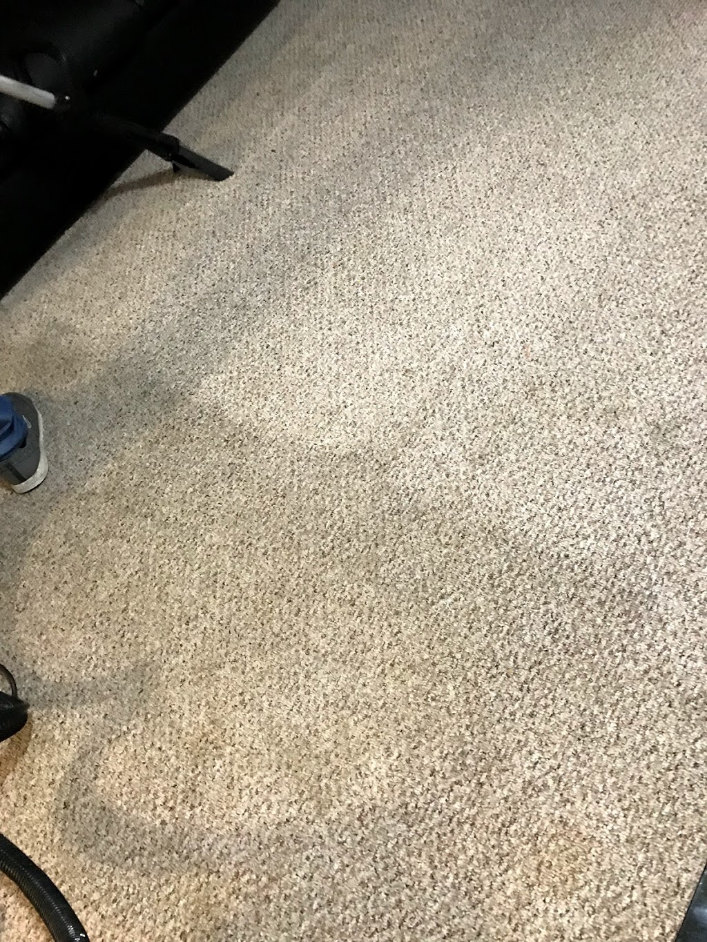 A1 EXPERT CARPET ,SOFAS, STAIRS STEAM CLEANING SERVICES VANCOUVE | 533 E 58th Ave, Vancouver, BC V5X 1W1, Canada | Phone: (604) 442-6405