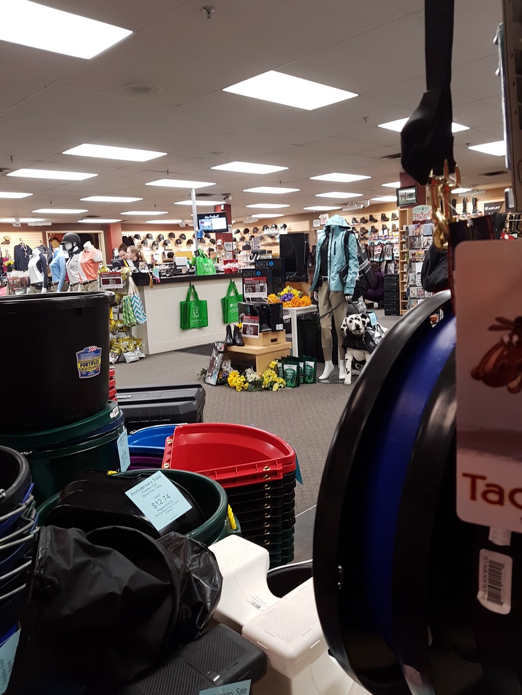 Greenhawk Equestrian Sport - McLaughlin | 5665 McLaughlin Rd, Mississauga, ON L5R 3K5, Canada | Phone: (905) 238-0311