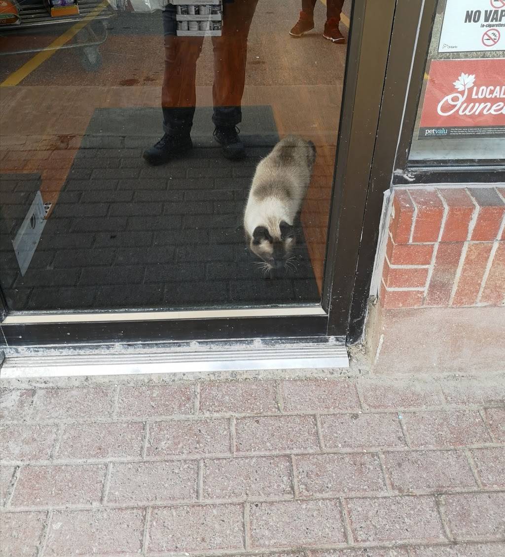 Pet Valu | 486 Lawrence Ave W, North York, ON M5M 1C4, Canada | Phone: (416) 789-2249