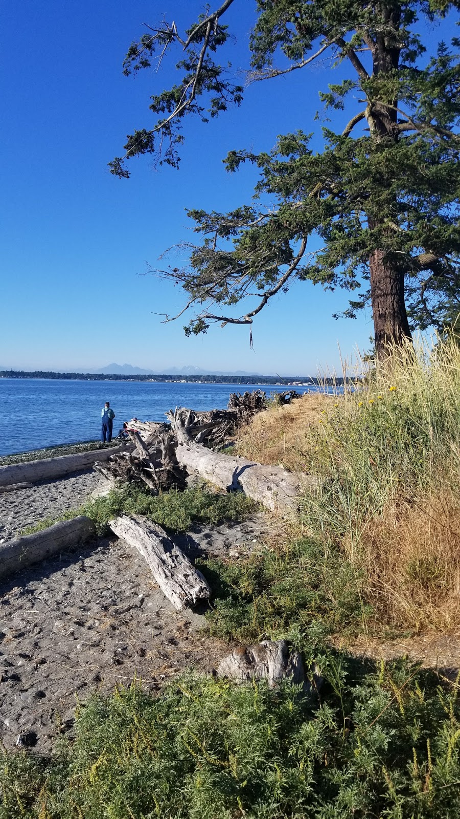 Birch Bay State Park | 5105 Helweg Rd, Blaine, WA 98230, USA | Phone: (360) 371-2800