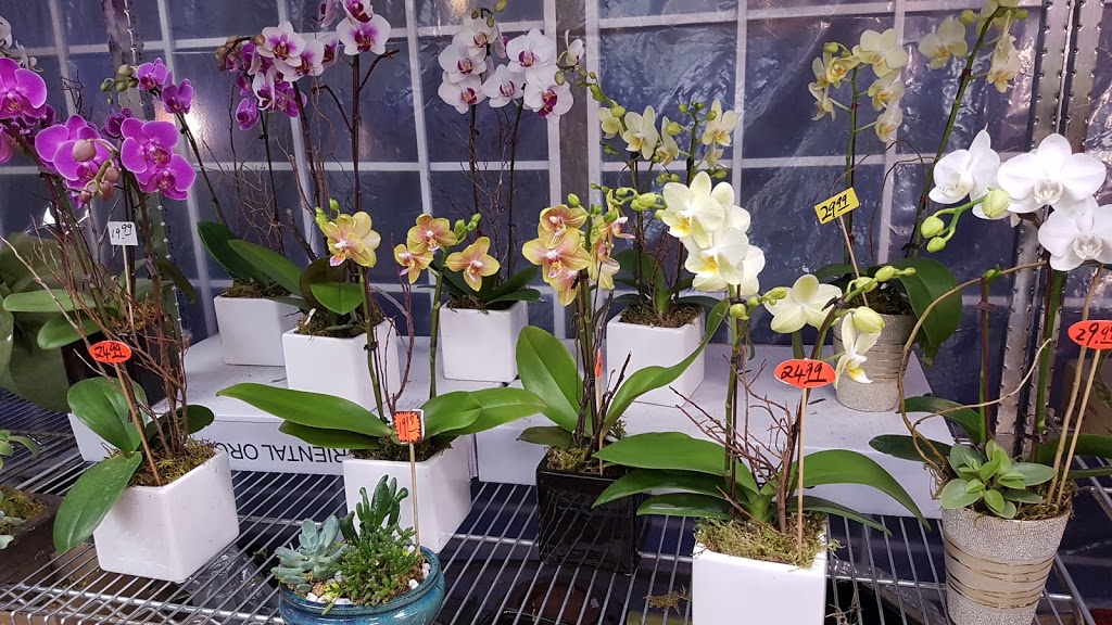 Southland Farm Market | 3008 W 41st Ave, Vancouver, BC V6N 3C9, Canada | Phone: (604) 264-0112